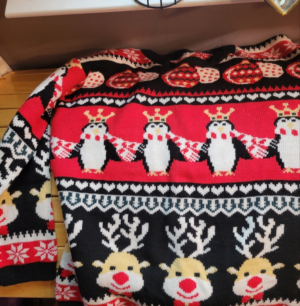Women's holiday sweater